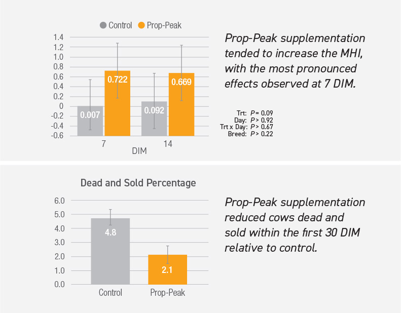 Prop-Peak supplementation tended to increase the MHI with the most pronounced effects observed at 7 DIM. Prop-Peak supplementation reduced cows dead and sold within the first 30 DIM relative to control.