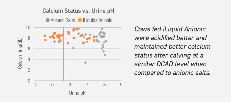 Cows fed iLiquid Anionic were acidified better and maintained better calcium status after calving at a similar DCAD level when compared to anionic salts.